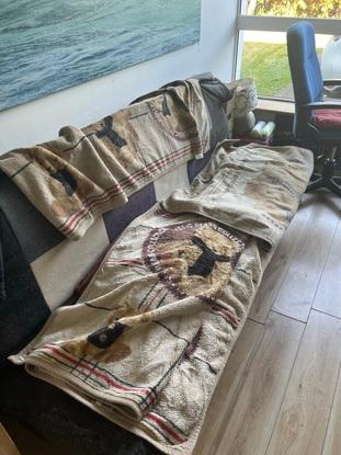 The place where Sika (and most likely other dogs) will sleep!