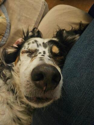 An exhausted Flashie