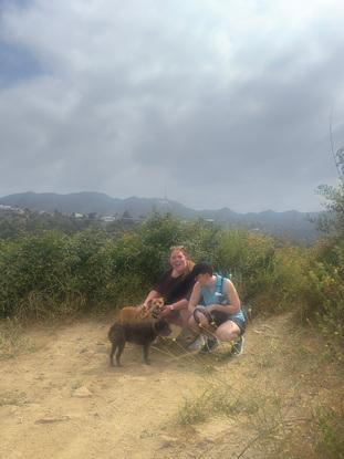 Hiking with brownie and mojo