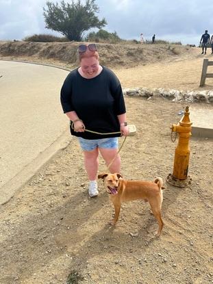 Hiking with brownie