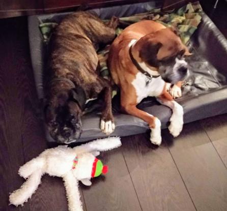 Always good to squeeze into one bed! lol