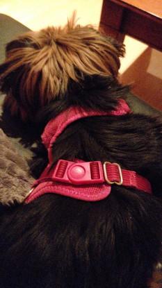 Millie