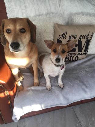 Ruby and Lucy posing