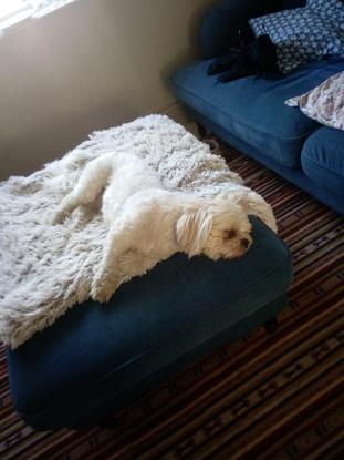 Knackered after play