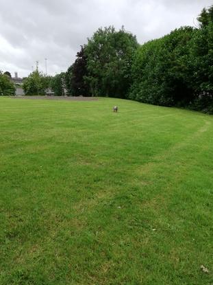 Park near my house 