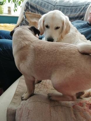 Betty and Belle