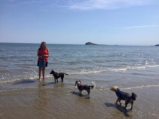 Day at the beach 