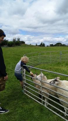 Family Farm outing 