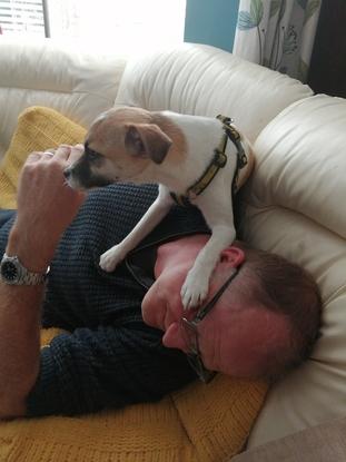 Pepper using my hubby as a cushion