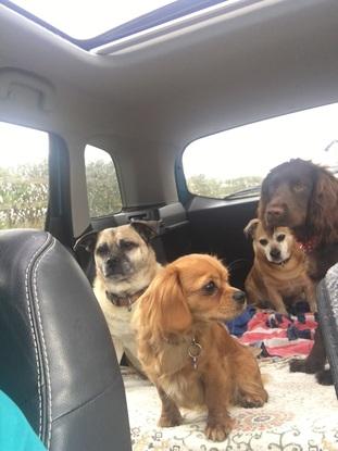 Car journey to the beach