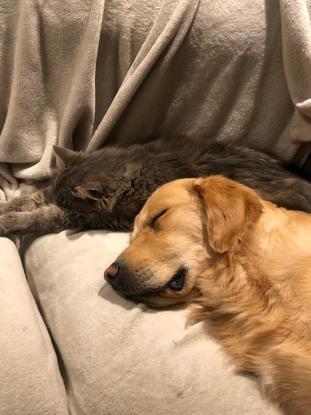 Alfie & Nala