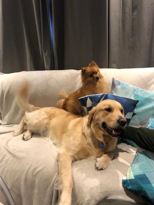Alfie and his cousin Luna