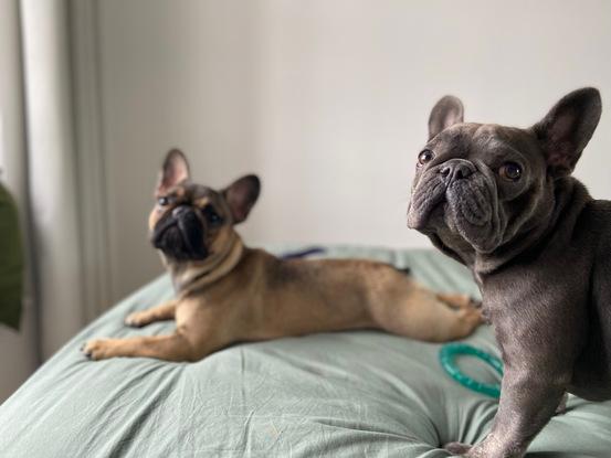 Derek & Mavis