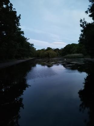 Local park