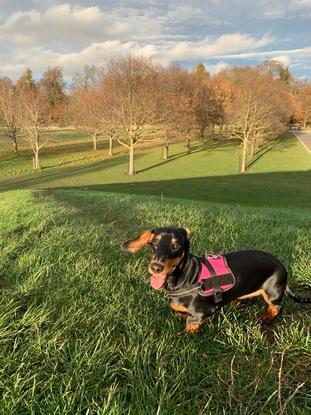 Aubrie at Pope’s Cross