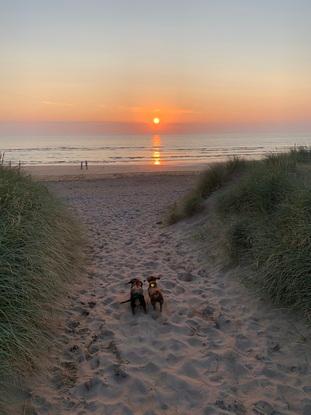 The girls  on the beach