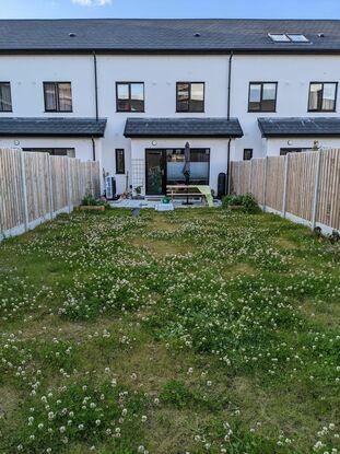 our garden 🏡
