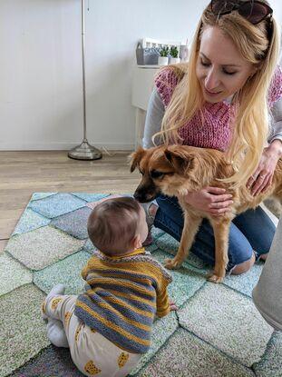 the first meeting with a dog 💛