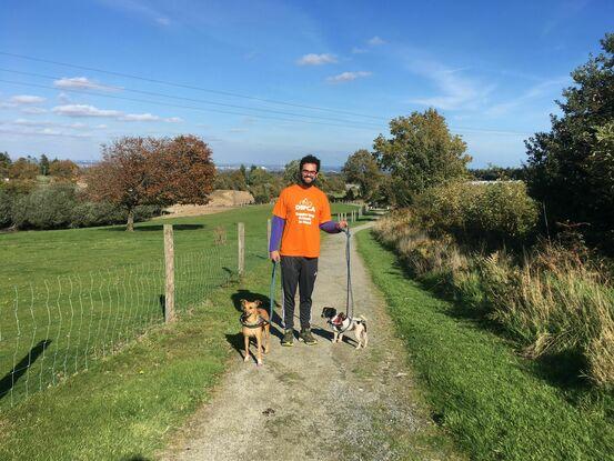 Jonas walking dogs in the DSPCA