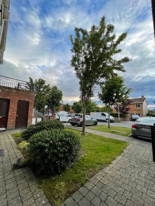 Front of apartment