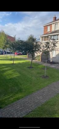 Back of apartment