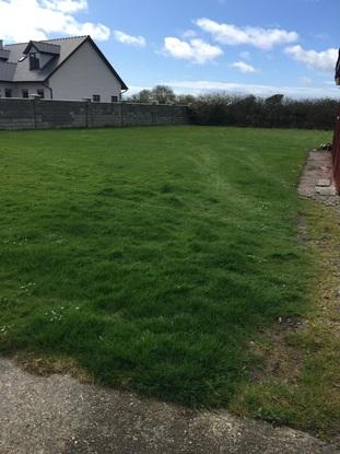Back garden