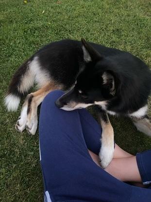 Rare downtime in the garden!