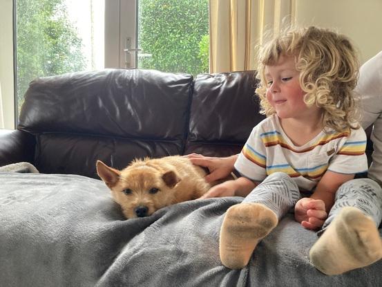 Cuddles for our cute guest dog