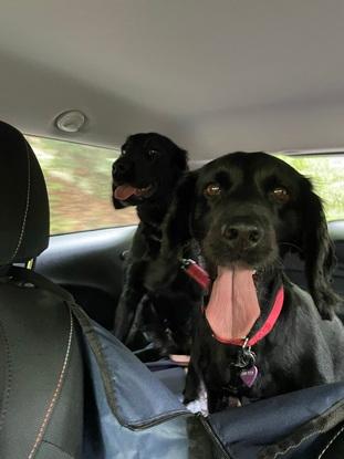 On a road trip