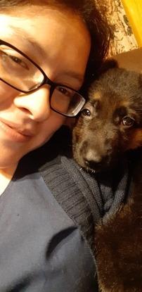 A puppy