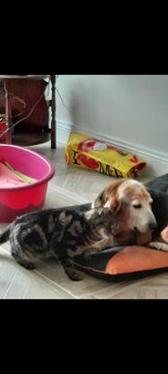 Rosie and Reily
