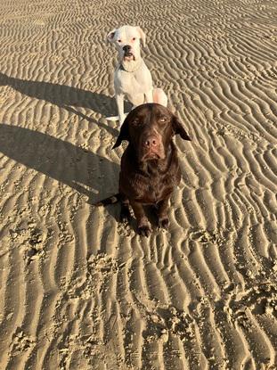 Beach time