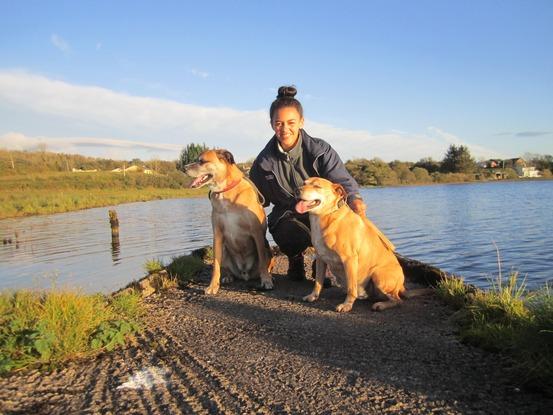 Bailey (9) and Guy (recently passed aged 14)