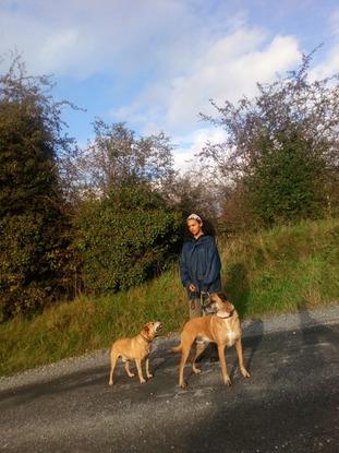 Staffie x J.Rusell and Boxer x B.Collie