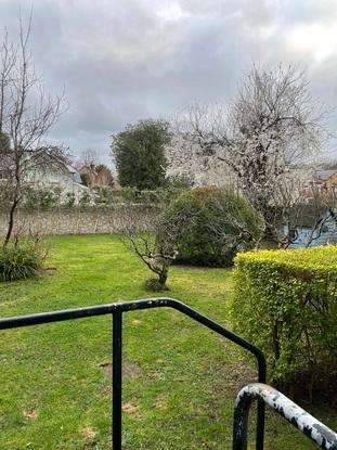 Large secure garden