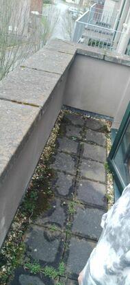 This is the balcony to my bedroom which will only be used in emergency situations as I'd much rather get outside properly with your dog!