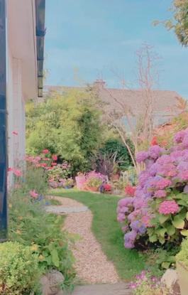My back garden