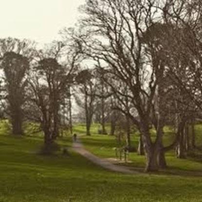 Park 5 feet from my house