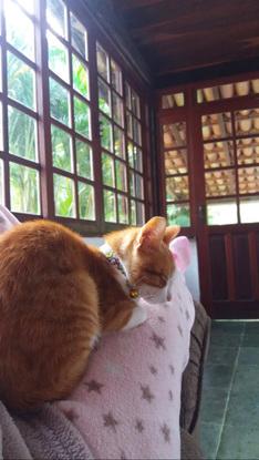 “Don’t move, human”