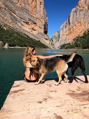 Outdoors with my dog and a friends dog