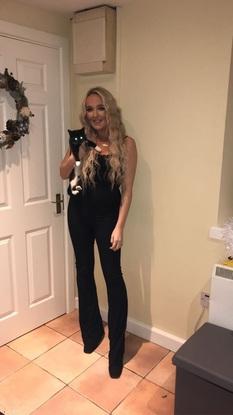Kitty Cat 🐱