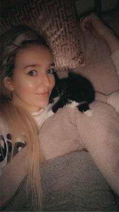 Kitty Cat 🐱