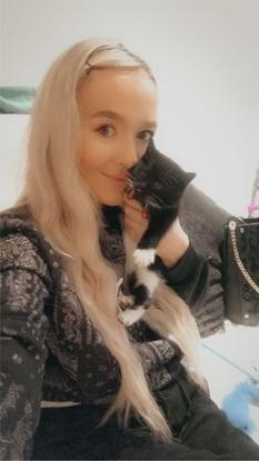 Kitty Cat 🐱