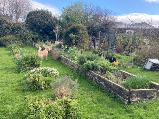 Our outdoor space which connects to the back back garden