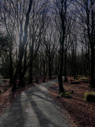 Barna woods, one of my local walking to es.it