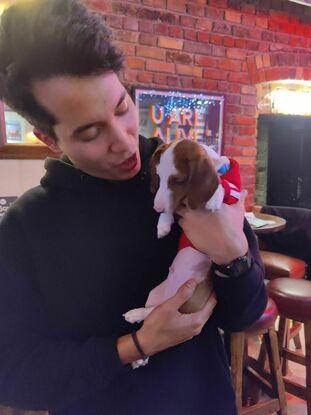 Puppies puppies puppies