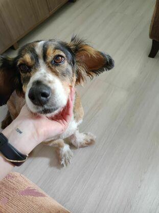 Hi, nice to meet you, I'm Lola! Bruna's daughter