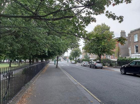 Street of the park near my home