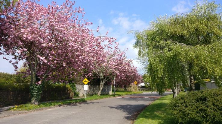 street