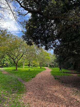 St Anne’s park